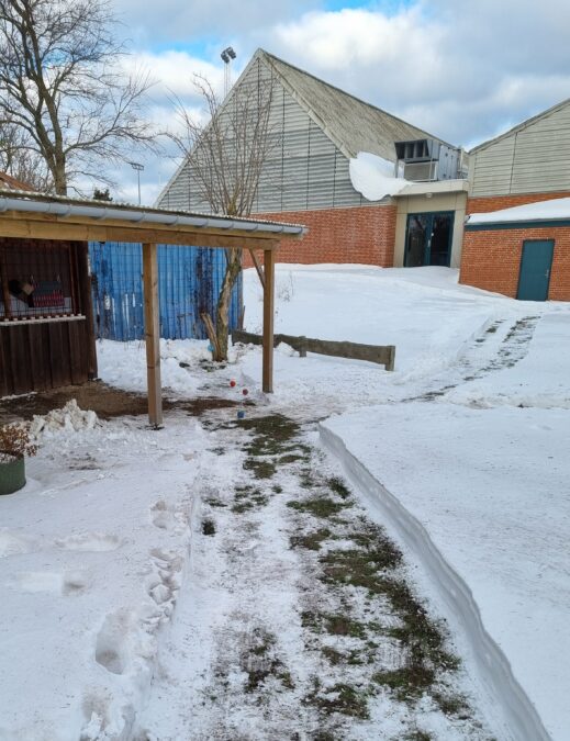 Krolf – Vintertræf den 12.03.2026